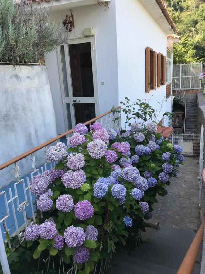 Appartamento Rosa Scala Εξωτερικό φωτογραφία